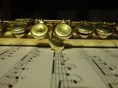 flute_notation_by_introverses-d6w5dh3.jpg